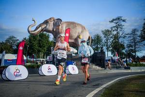 BIB: 
                            <button type="button" onclick="openModal(26541989)" class="btn btn-primary btn-sm float-right btn-popup" data-toggle="modal" data-target=".modal-high-quality">
                        <i class="fas fa-shopping-cart"></i> Add to Cart
                    </button>
                                            <button type="button" onclick="isThisMe(26541989, true)" class="btn btn-success btn-sm float-right btn-popup btn-isme hidden" data-toggle="tooltip" data-placement="bottom" title="นี่คือรูปของคุณใช่ไหม คลิกที่นี่เพื่อเอาเข้าอัลบั้ม">
                        <i class="fas fa-plus"></i> Add to album
                    </button>
                    <button type="button" onclick="isThisMe(26541989, false)" class="btn btn-warning btn-sm float-right btn-popup btn-isnotme hidden">
                        <i class="fas fa-ban"></i> Remove from album
                    </button>